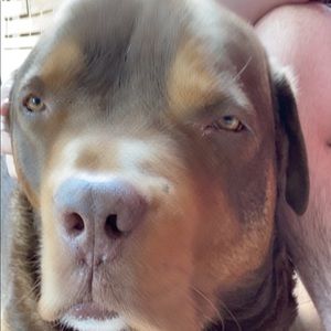 Meet your Posher, Tom